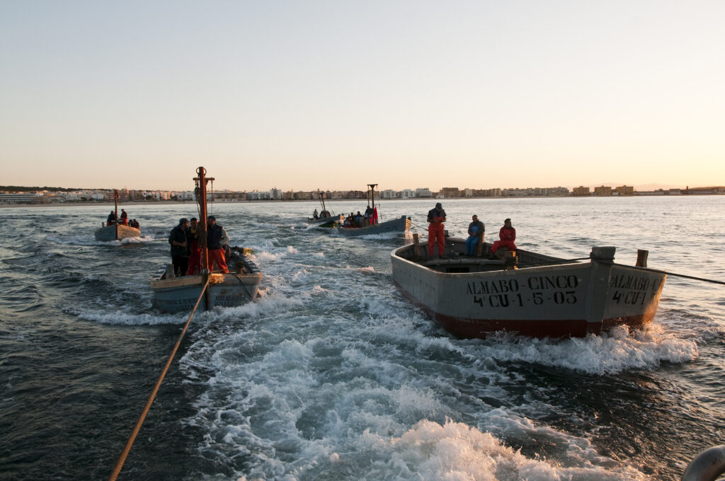 Una ruta de barcos que van a pescar el atún