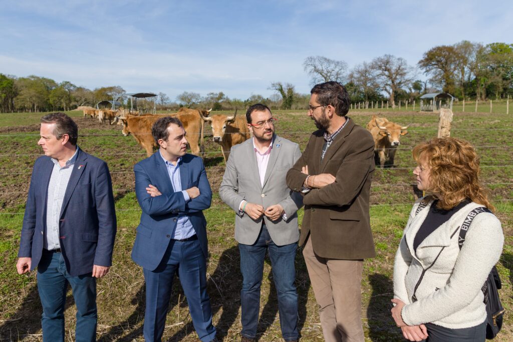 EL jefe del Ejecutivo asturiano, Adrián Barbón, y el presidente de la empresa de distribución, Alejandro Fernández, hablando con ganaderos
