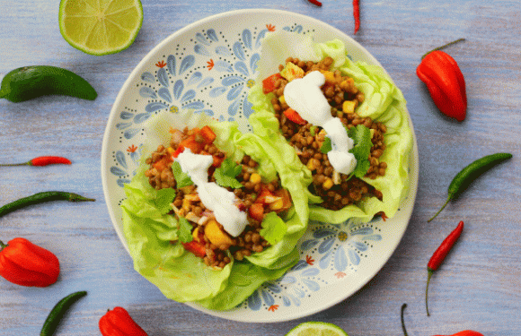 Tacos de lentejas