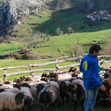 Lechazos probiodiversidad 2026